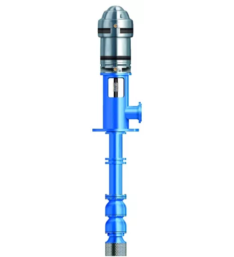 Goulds Water Technology VIT-DITM 9RCLC